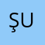 Şubat03