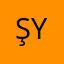 Şulenur Yıldırım