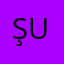 şükriye uysal