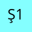 ş12
