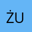 Żuci