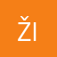 žiguš