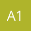 Алиев Тимур 1244