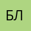 БлинБлинский100500