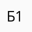 Б10505