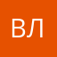 Владимир Левин