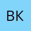 Владимир-красносолнышко