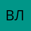 Владислав Лепин