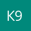 Каменев 93
