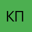 Кот пилот