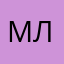 Мастер ліон