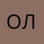 Оливье2008