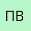 Пользователь весов