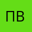 Пётр Васнецов