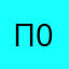 П06