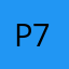 Райдер 749