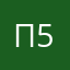 пулька 556