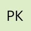 рыжый котя