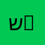 שגית 5
