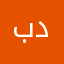 بدر٣٣