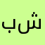 برنامج شيعي