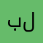 بنوا هاشم للنقل