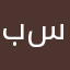 بو راشد سالمين
