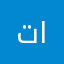 تحت الضوء
