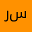رايز سالم