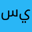 سأعود يوما