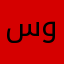 سالم وحيد