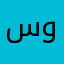 سناء وصفي
