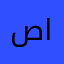صكر الطيار