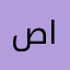 صلاح الساعدي