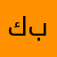 كاميرا بورتريه