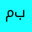 محمد أبو بدر