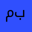 محمد بشاوري