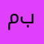 محمد يونس بدر