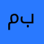 مدقق برامج