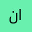 نصر الدميني