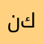 نور كاضم