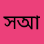 সুলতানুল আরেফিন আল আমিন