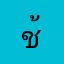 ช้า