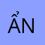 ẩn danh N