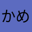 かめぞう1129