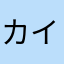 カイト＾＾