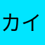 カイリキp