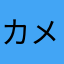 カメさんカメさんカメさん