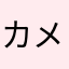 カメすけ