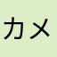 カメカメ派